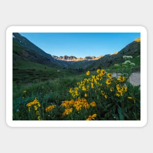 August in American Basin Sticker